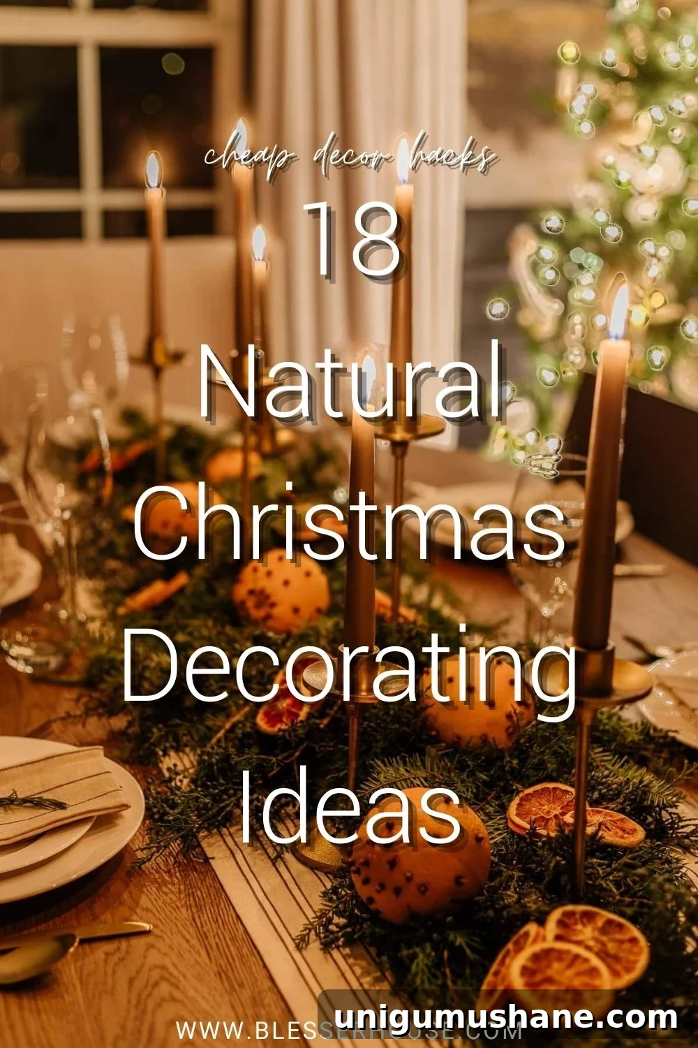 18 Natural DIY Christmas Decor Ideas to Make at Home 2 cheap natural Christmas decor ideas