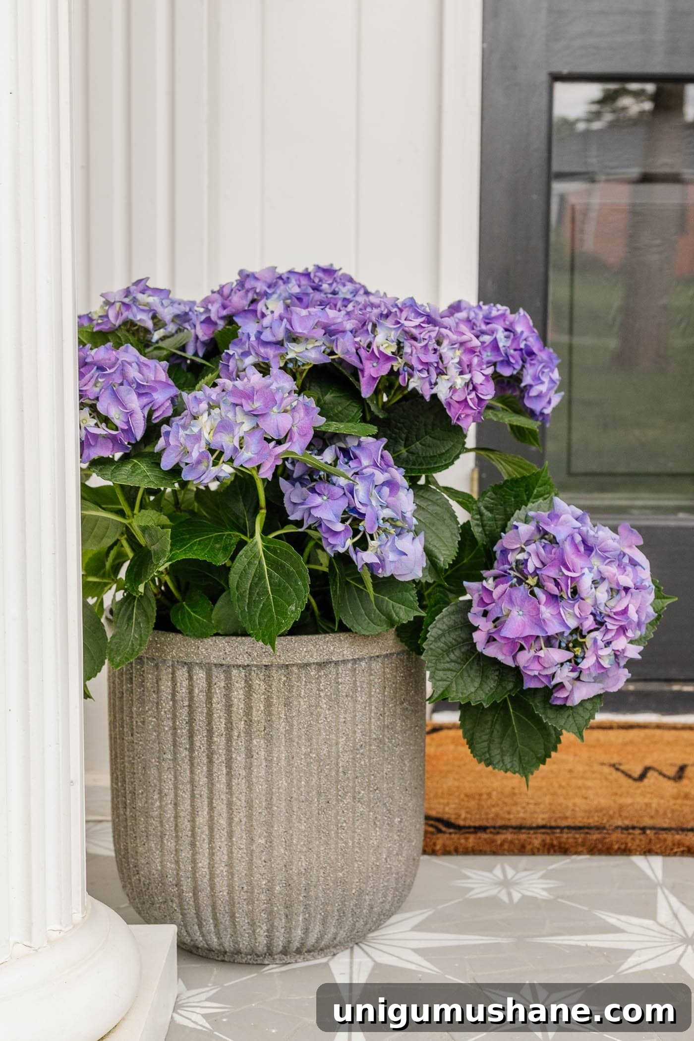 16 DIY Curb Appeal Ideas to Transform Your Front Yard 18 diy concrete planter pot with spray paint