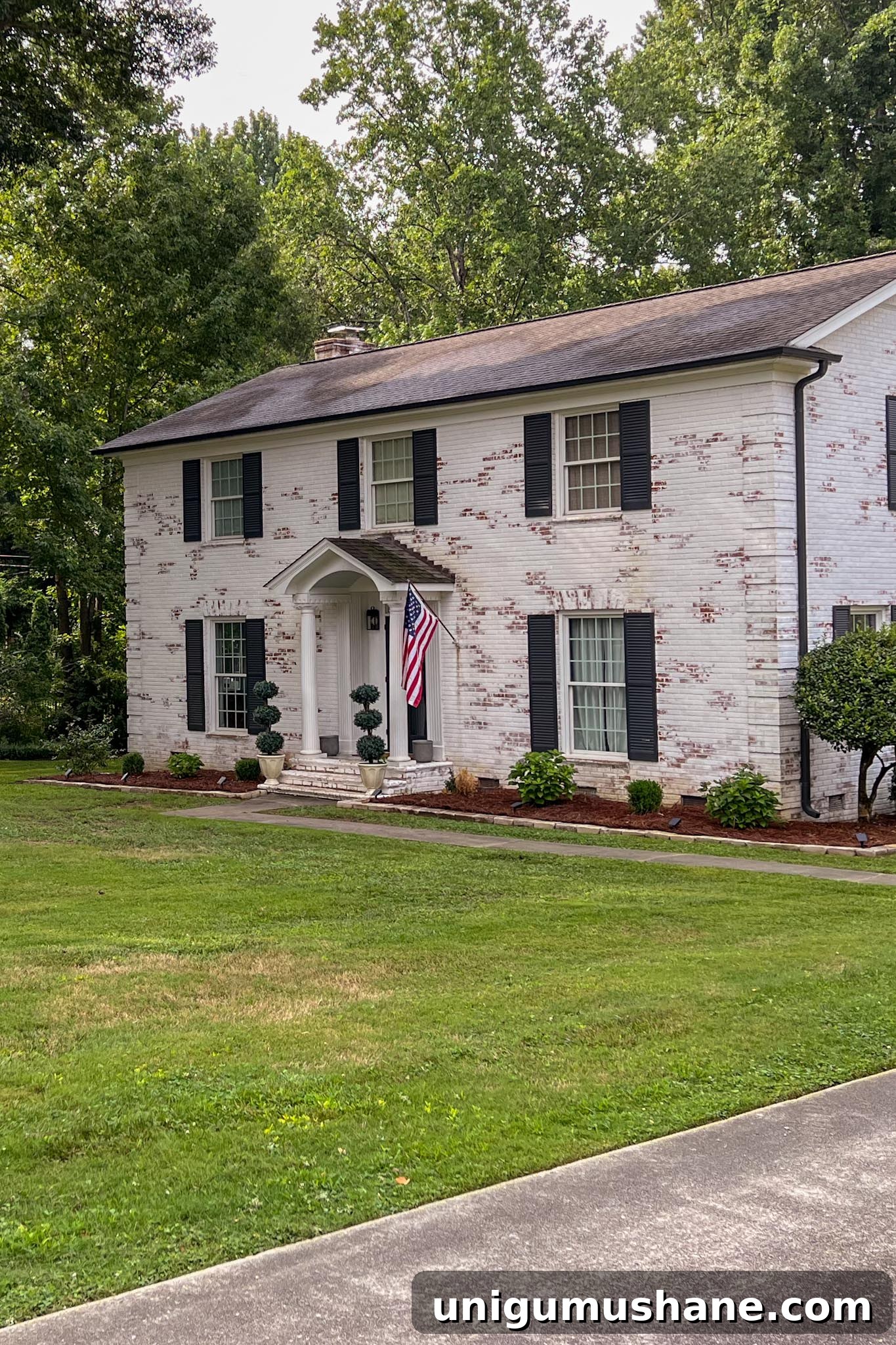 16 DIY Curb Appeal Ideas to Transform Your Front Yard 20 patchy weed filled lawn before