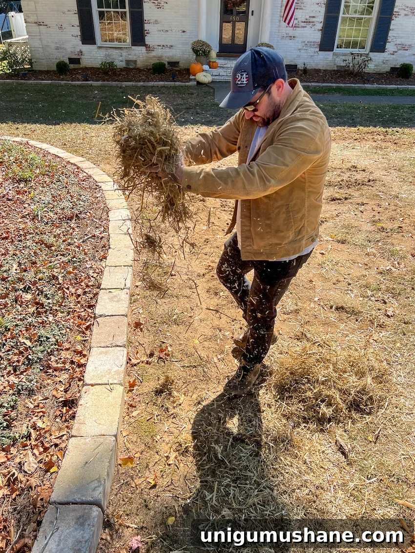 16 DIY Curb Appeal Ideas to Transform Your Front Yard 21 scattering hay over newly seeded bare patches in lawn