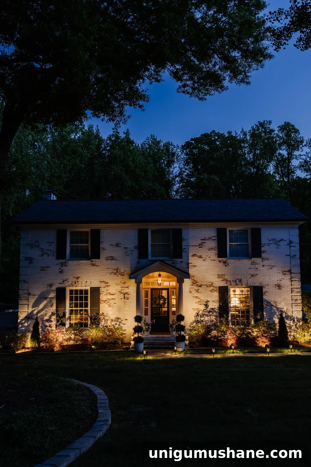 16 DIY Curb Appeal Ideas to Transform Your Front Yard 32 solar spotlight landscape lights