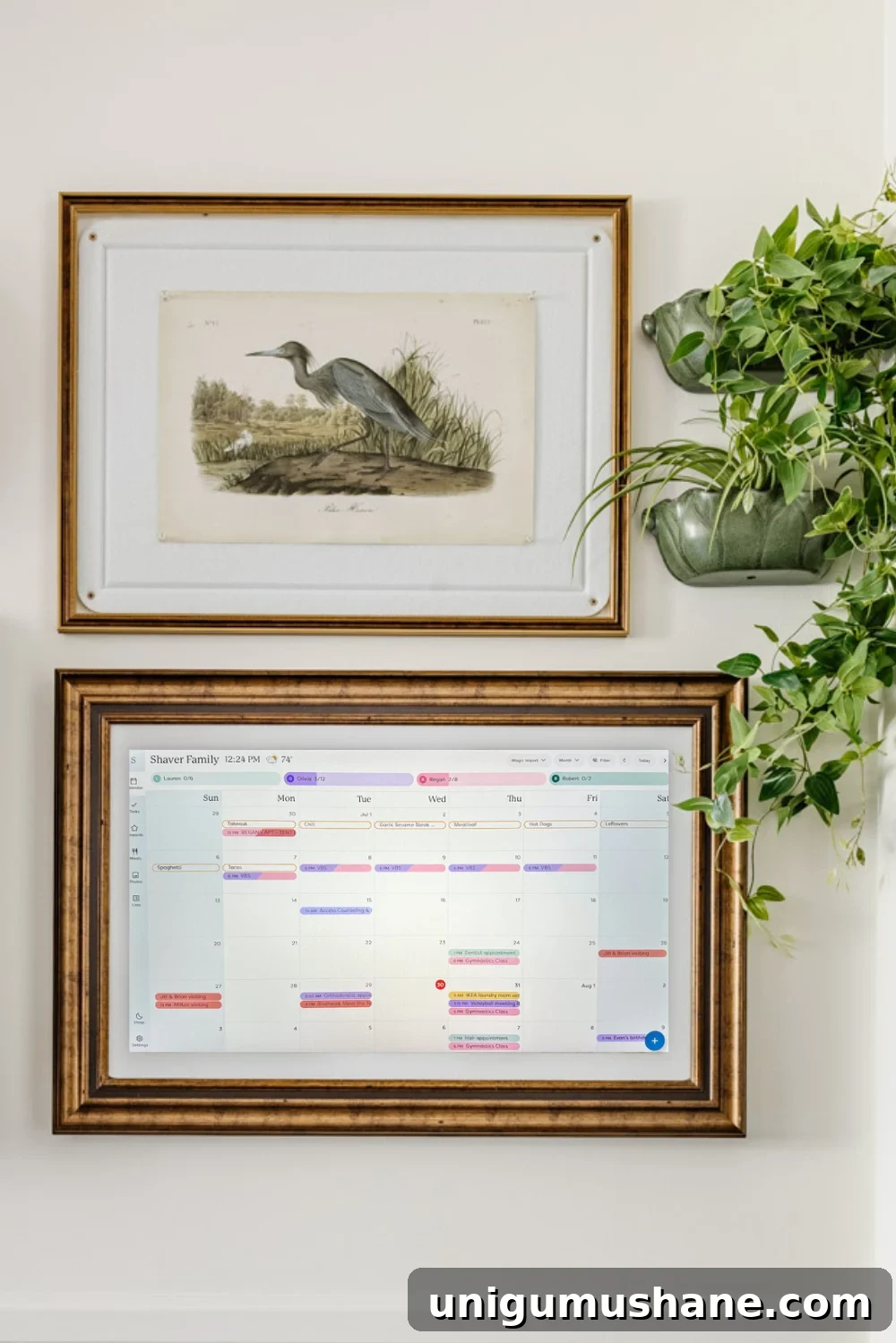 Skylight Calendar Review: Family Tested Pros and Cons 4 img 55787 3