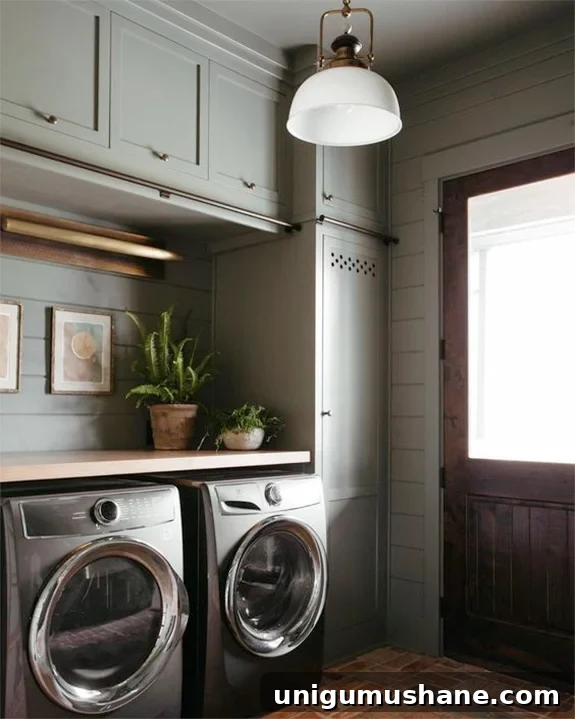 Small Space Laundry Room Ideas to Maximize Storage 9 laundry room cabinets with cutouts