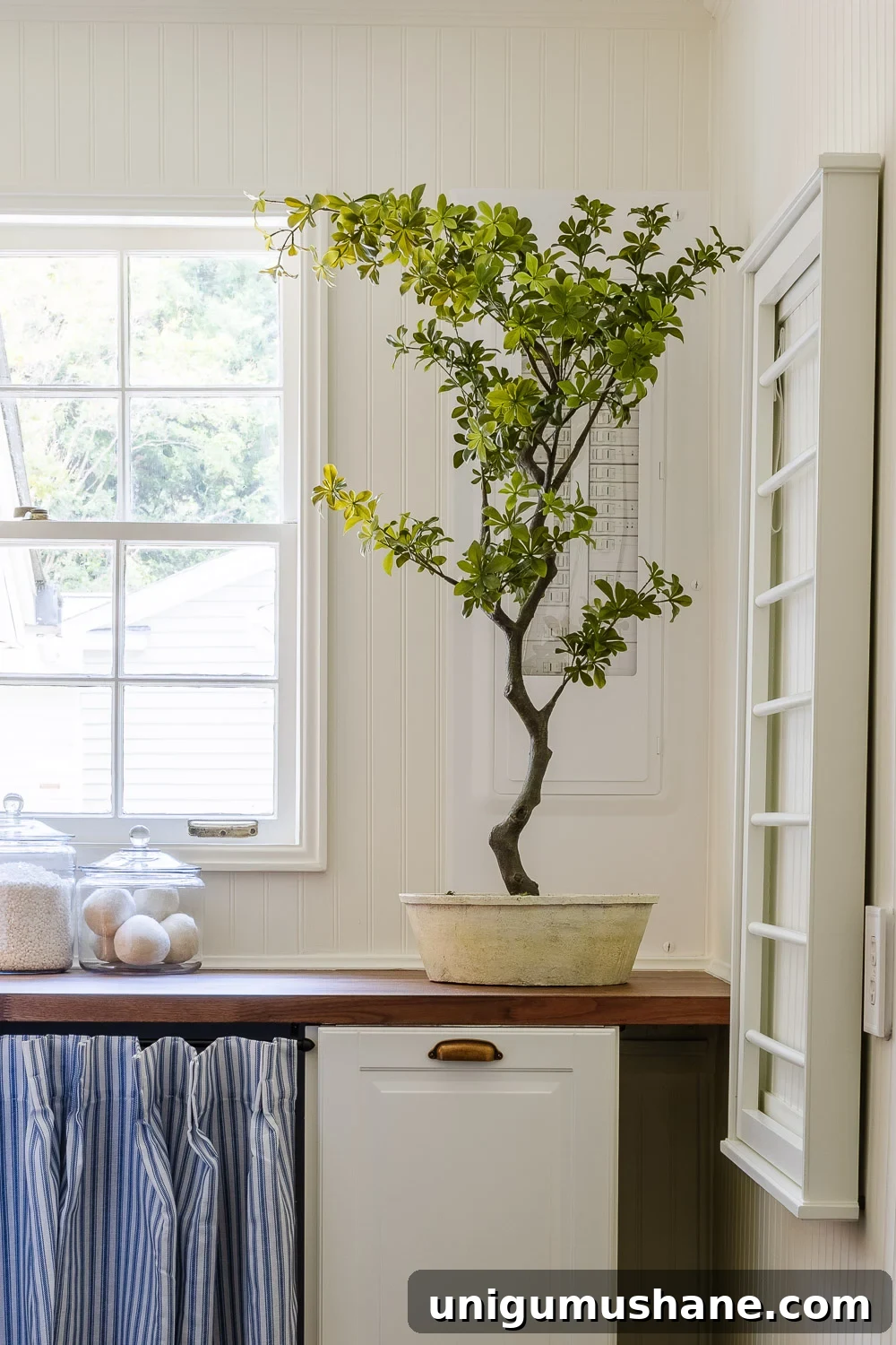 Narrow Laundry Room Layout That Maximizes Storage and Efficiency 6 hidden electrical panel in white and potted tree in front