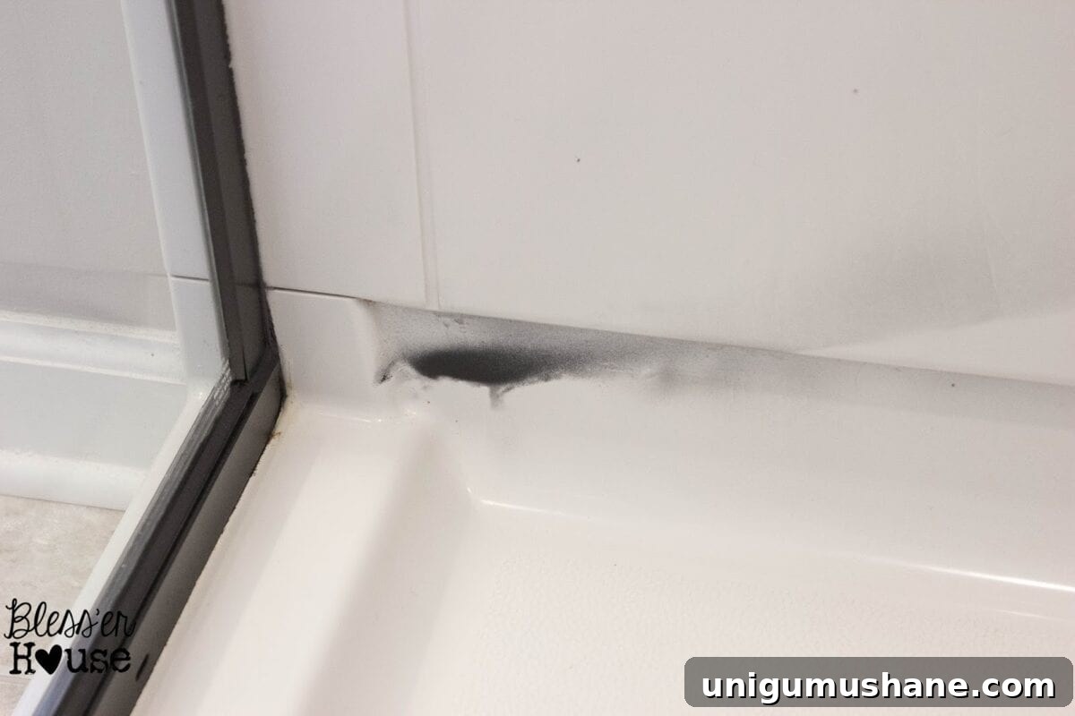 How NOT to Paint a Shower Door (And How to Fix Spray Paint Mistakes) | Bless'er House