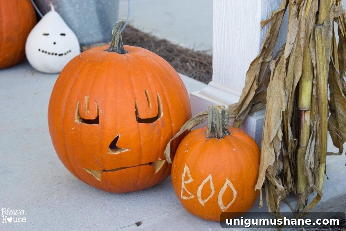 Bless'er House | DIY Halloween Sidelight Signs {and Fall Porch Reveal}